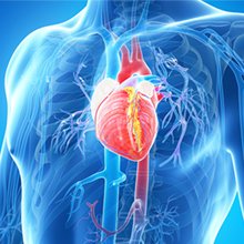 arrhythmia-ablation